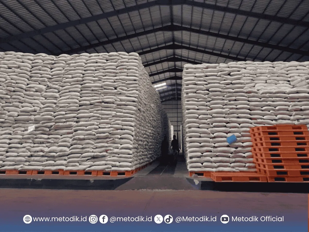 Bulog Lampung tambah gudang filial untuk optimalkan serapan beras