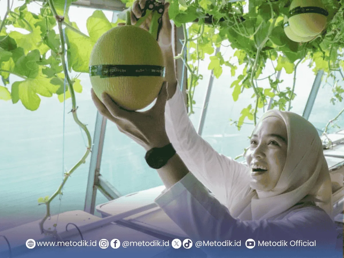 PKK Provinsi Lampung Panen di Agropark, Perkuat Peran PKK dalam Ekonomi Keluarga